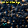 V* V1569 Sgr