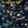V* V1565 Sgr