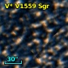 V* V1559 Sgr