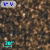 V* V1557 Sgr