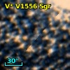 V* V1556 Sgr