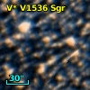 V* V1536 Sgr