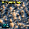 V* V1517 Sgr