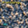 V* V1516 Sgr