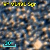 V* V1491 Sgr