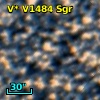 V* V1484 Sgr