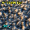 V* V1466 Sgr
