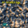 V* V1462 Sgr