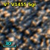 V* V1455 Sgr