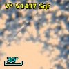 V* V1437 Sgr