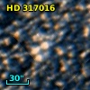 HD 317016