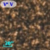 V* V4115 Sgr
