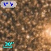 V* V4117 Sgr
