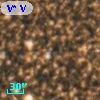 V* V4119 Sgr