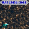 IRAS 18031-3036