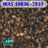 IRAS 18036-2937