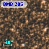 BMB 205