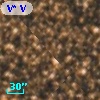 V* V5436 Sgr