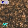 V* V5482 Sgr