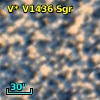V* V1436 Sgr