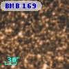 BMB 169
