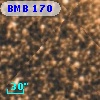 BMB 170