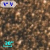 V* V5497 Sgr