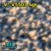 V* V5503 Sgr