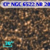 Cl* NGC 6522     NB     207