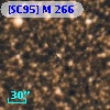 [SC95] M 266