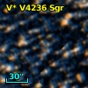V* V4236 Sgr