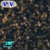 V* V4249 Sgr
