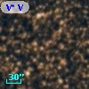 V* V4260 Sgr