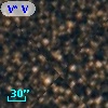 V* V4291 Sgr