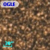 OGLE BWC V75
