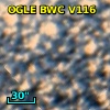OGLE BWC V116