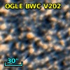 OGLE BWC V202