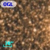 OGLE BWC V203