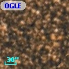 OGLE BWC V16
