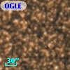 OGLE BWC V45