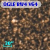OGLE BW4 V64