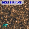 OGLE BW4 V66