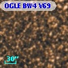 OGLE BW4 V69