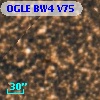 OGLE BW4 V75