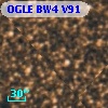 OGLE BW4 V91