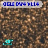 OGLE BW4 V114
