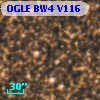 OGLE BW4 V116