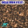 OGLE BW4 V117