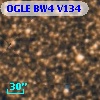 OGLE BW4 V134