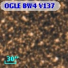 OGLE BW4 V137
